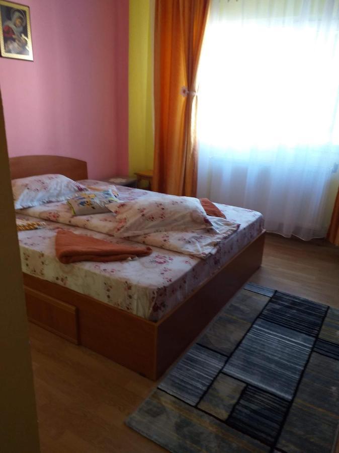Apartament Aurora Slănic-Moldova Extérieur photo