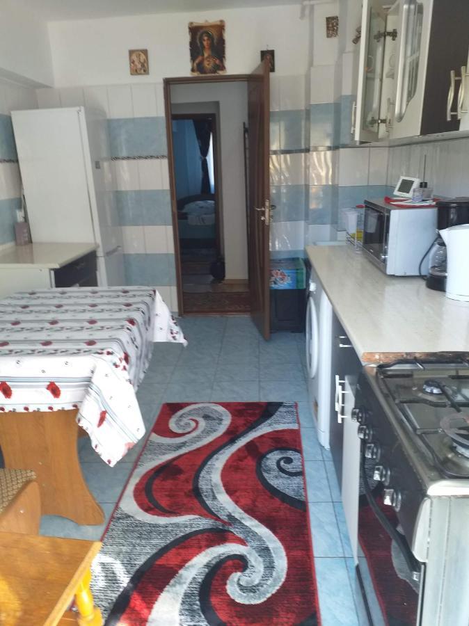 Apartament Aurora Slănic-Moldova Extérieur photo