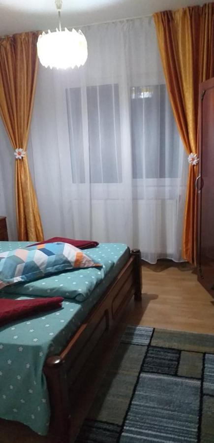 Apartament Aurora Slănic-Moldova Extérieur photo